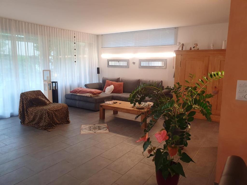 Casa Nadja, Naehe Skigebiet Flims-Lax Ems Екстериор снимка